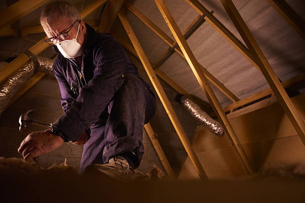 Best Insulation Materials and Products in Beach Park, IL